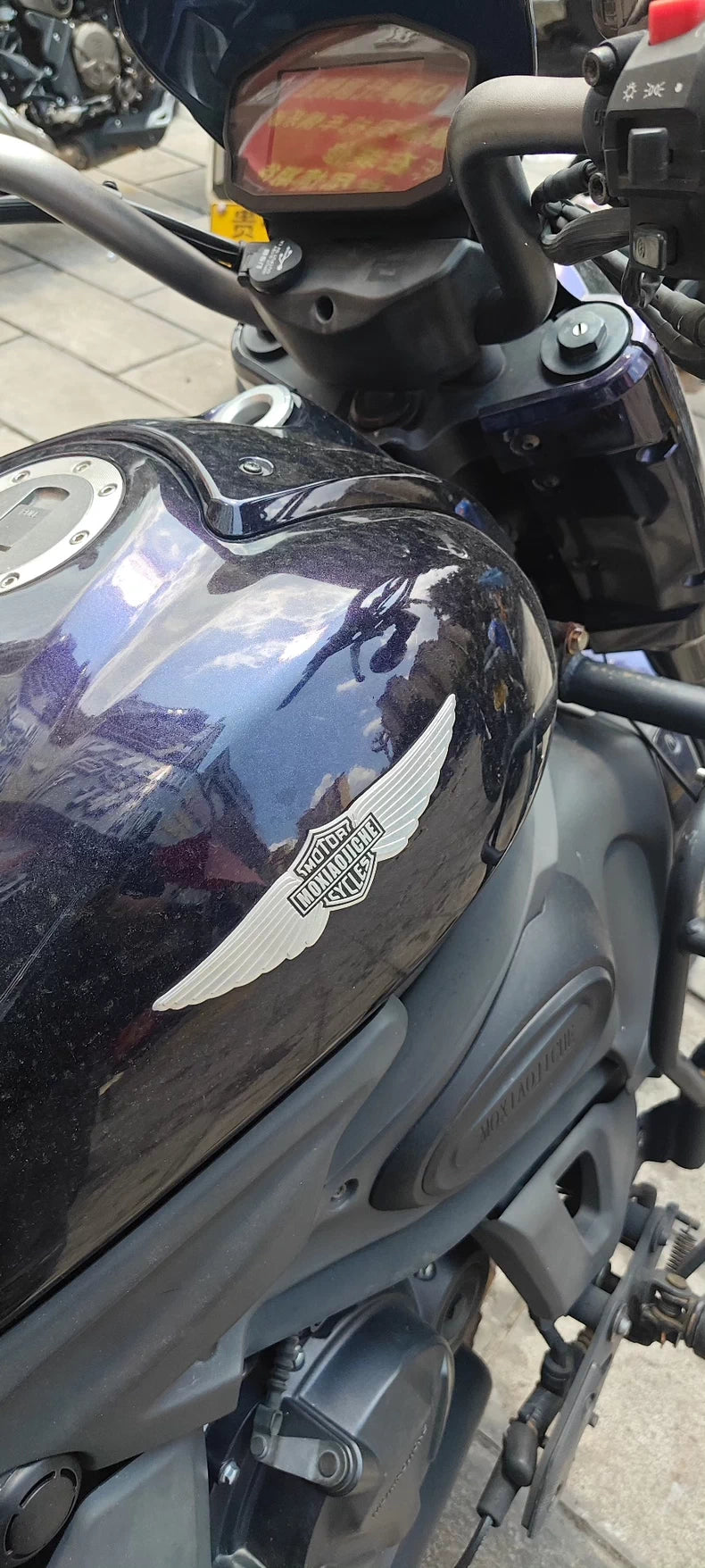 Mo Owl 500