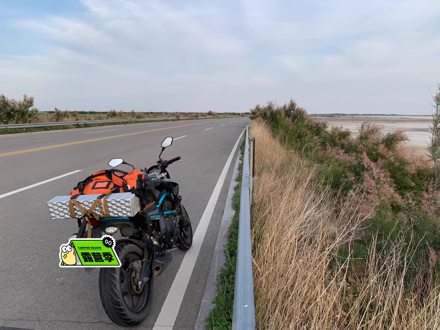 Spring Breeze cf 650NK