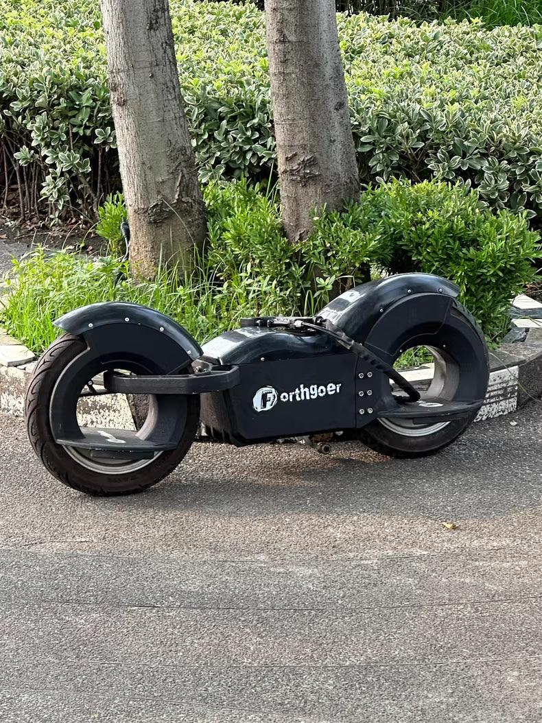 Fortgoer balance bike