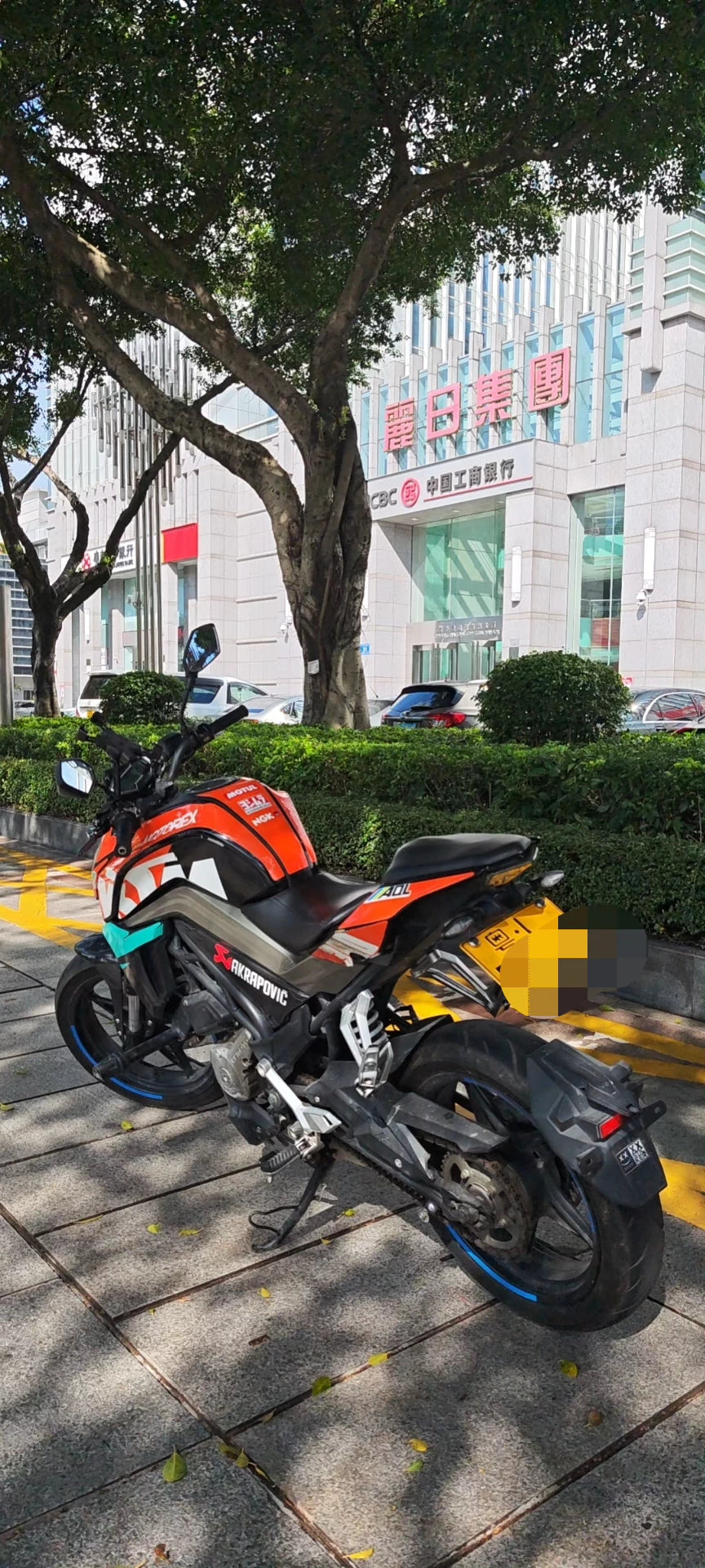 Spring Breeze NK250
