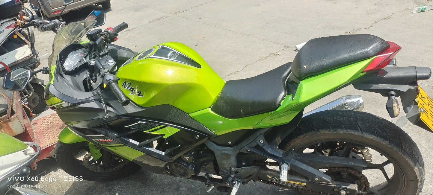 The little ninja 250