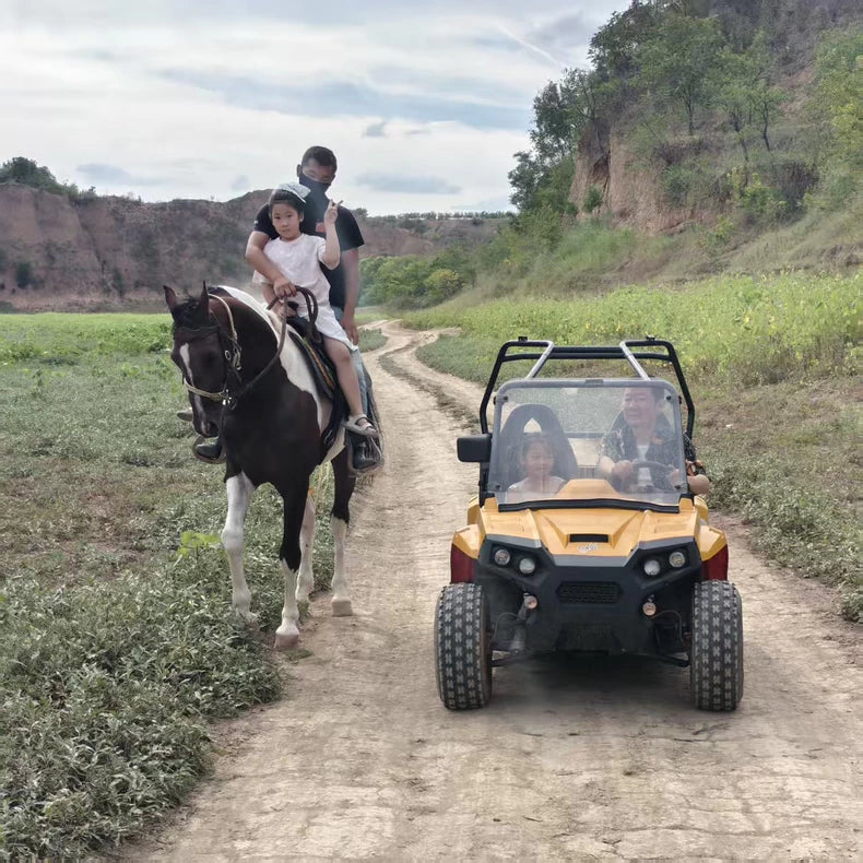 UTV all-terrain vehicle with automatic transmission 200cc