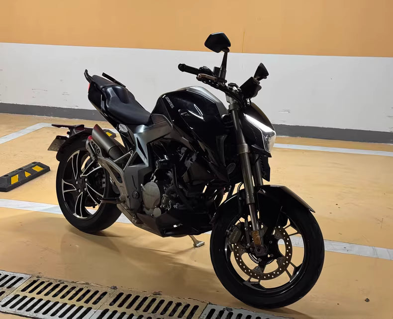 Shengshi 310R