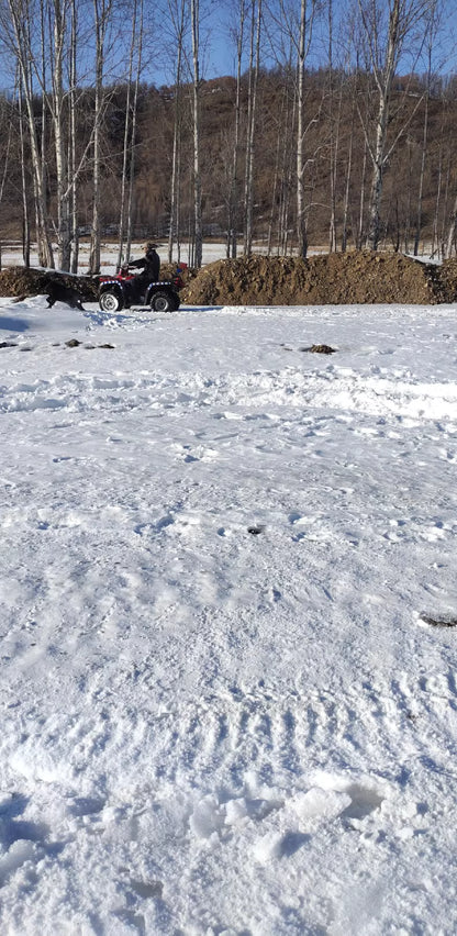 Loncin 200 ATV