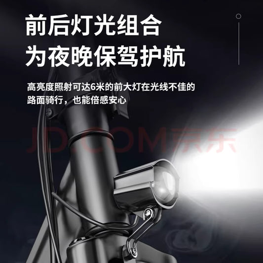 permanent electric scooter