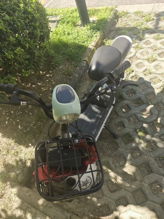Electric bike