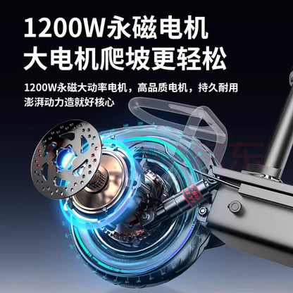 permanent electric scooter