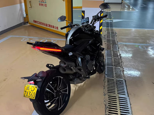 Shengshi 310R