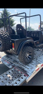 Zongshen 250cc UTV