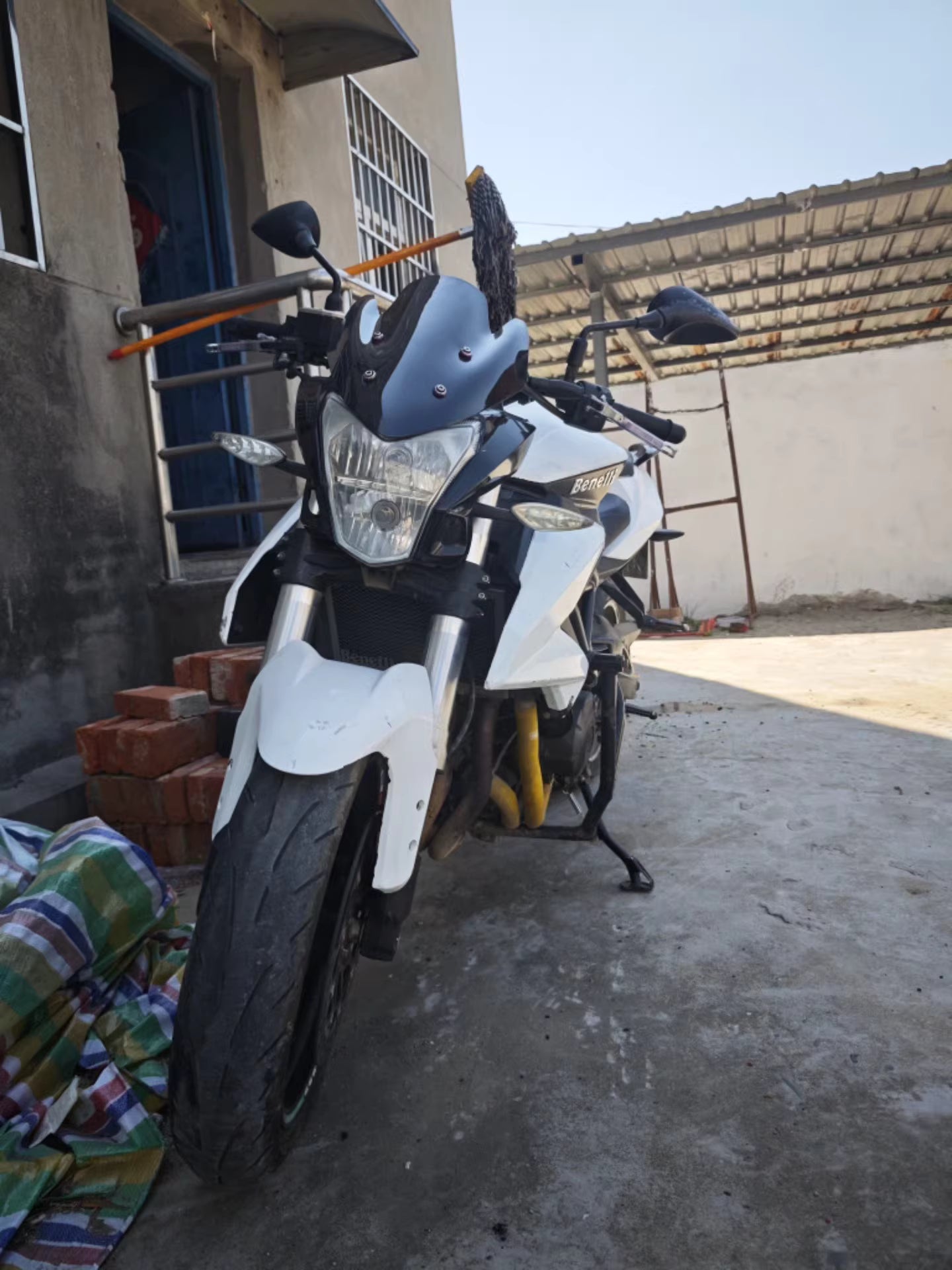 beneli 500cc