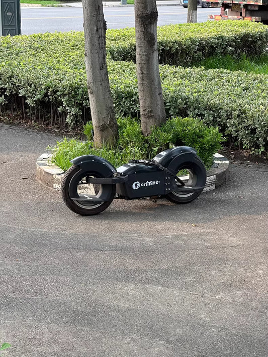 Fortgoer balance bike