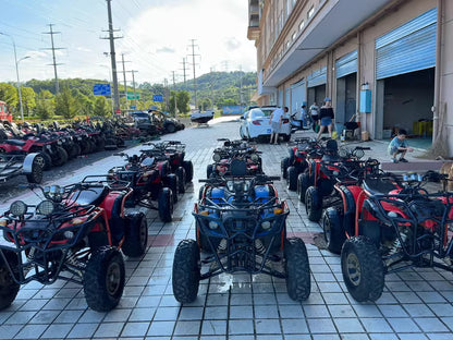 big bull ATVs 200cc