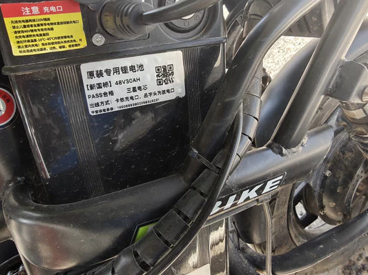 Electric bike