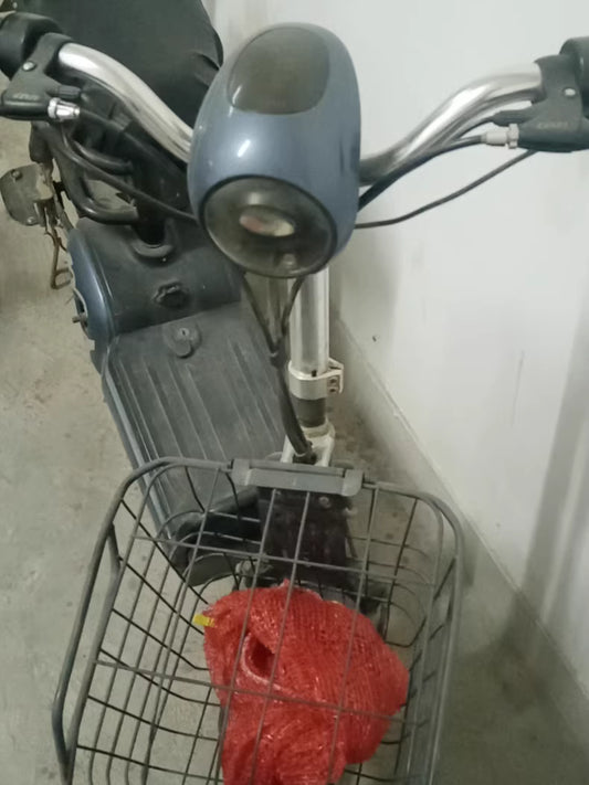 Electric Bike