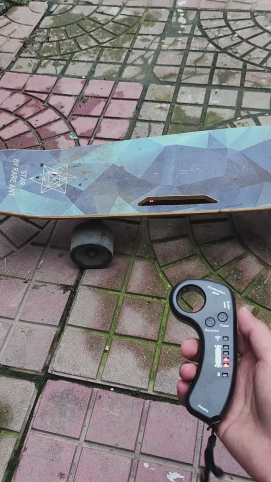 The electric scooter