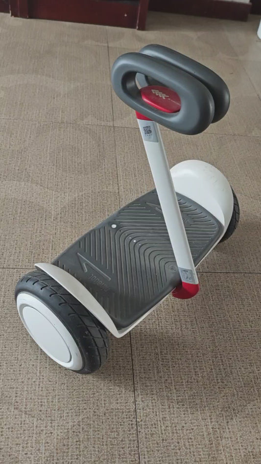 Ninebot No. 9 electric self-balancing bike