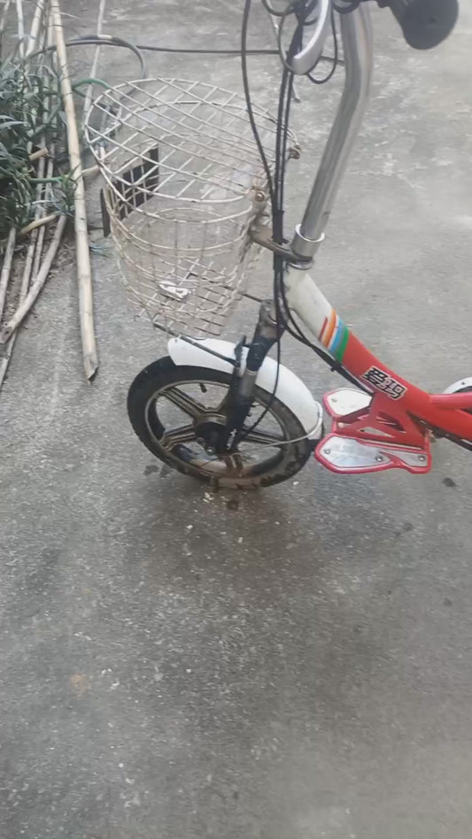 electric bike