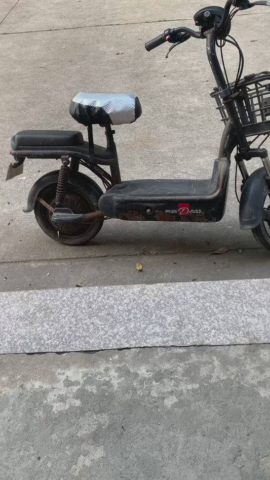 Electric Bike