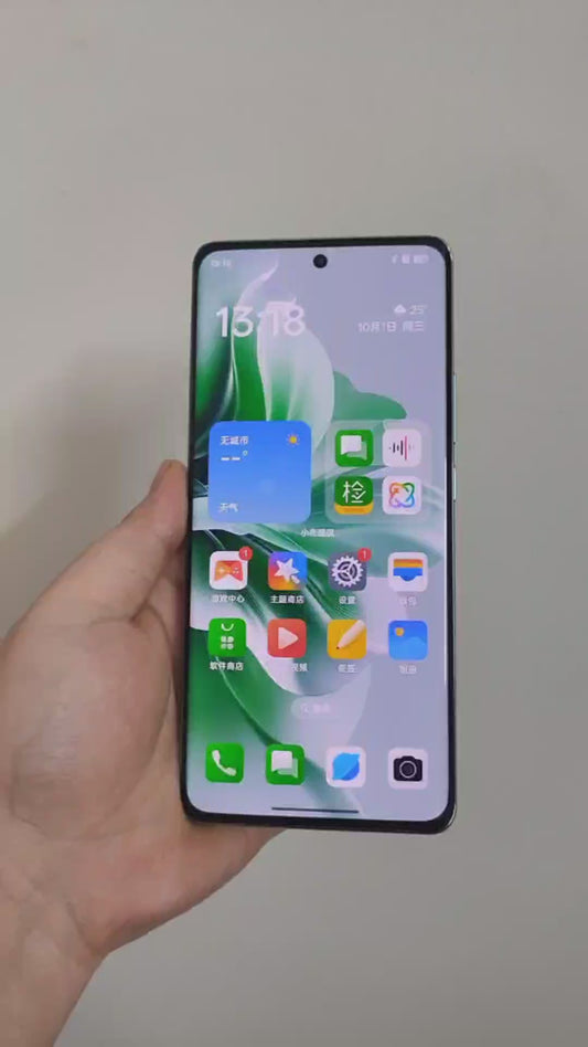 OPPO Reno11 5G, 12+512