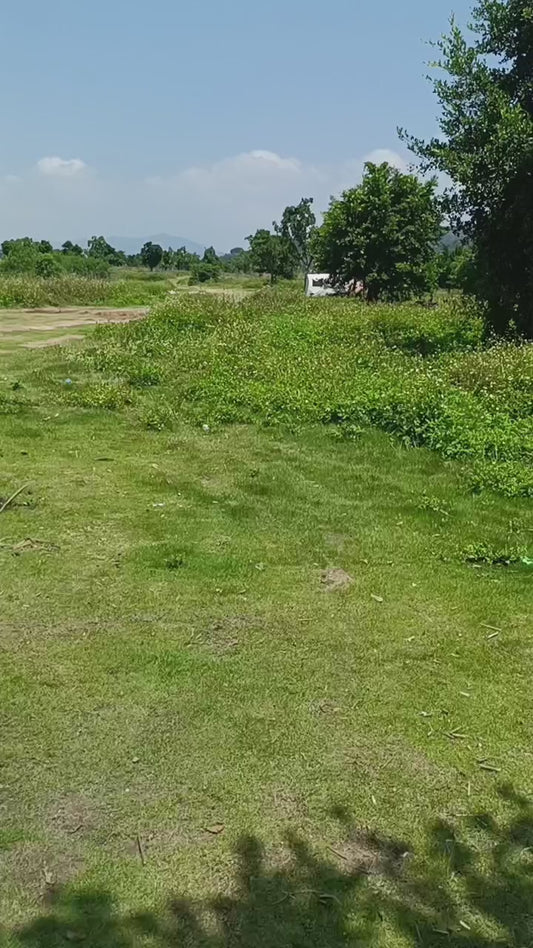 All Terrain go cart
