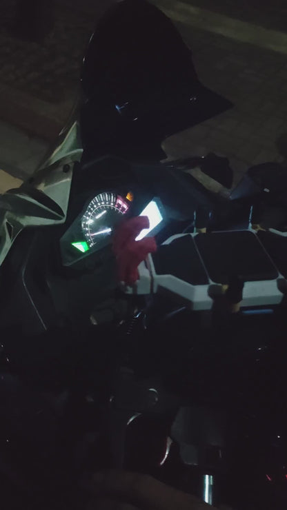 Kawasaki Ninja 350
